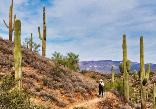 The Ultimate Guide to Outdoor Events in Maricopa County, AZ